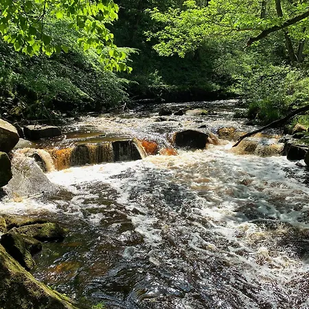 Eversfield * 戈斯兰