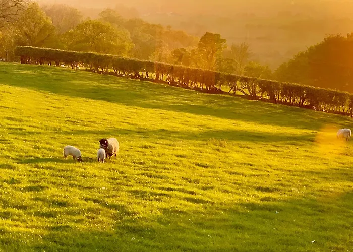 Eversfield 度假居 戈斯兰