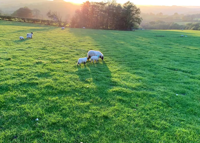 Eversfield * Goathland