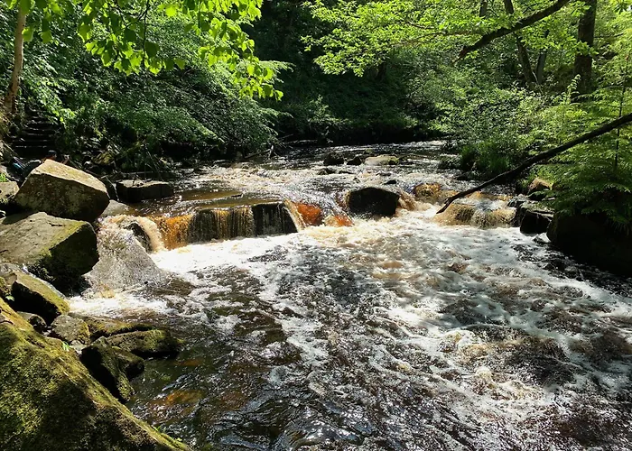 Eversfield * Goathland