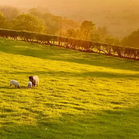 Eversfield Nyaraló Goathland