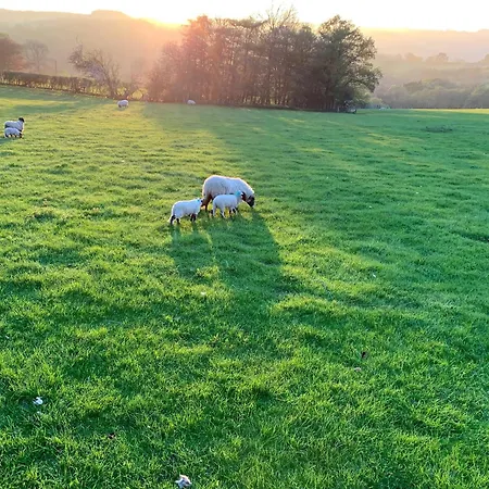 Eversfield * Goathland